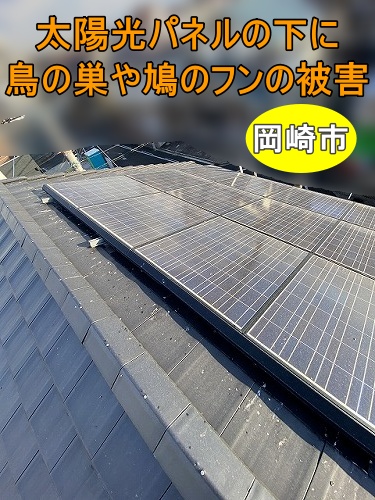 屋根の鳥被害　フン　屋根